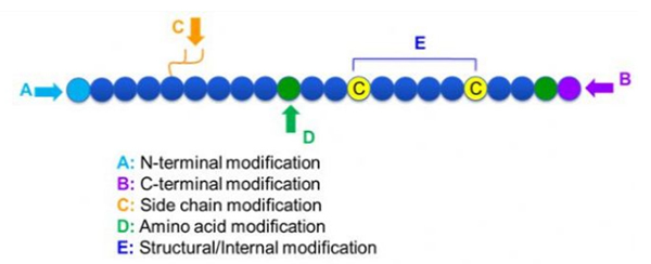Overview of chemical modification of peptides